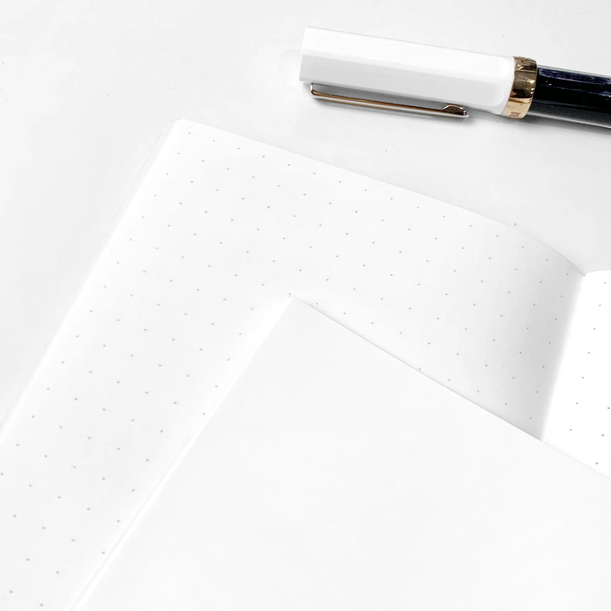 Companion Notebook Set - 68gsm Tomoe River Paper - Image 2